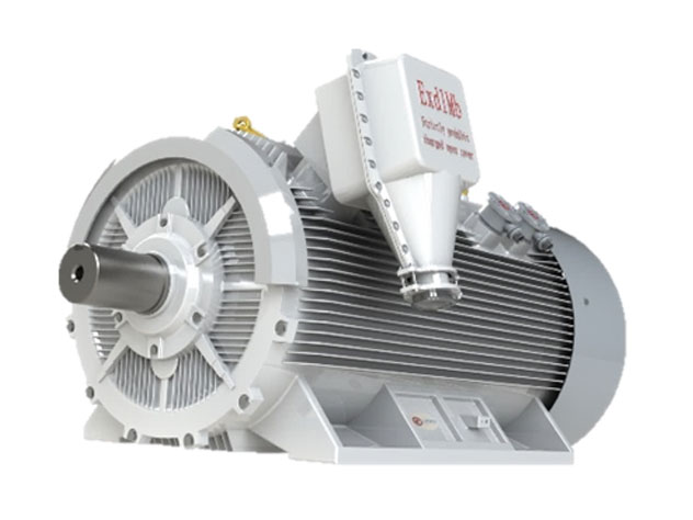 特种稀土永磁电机